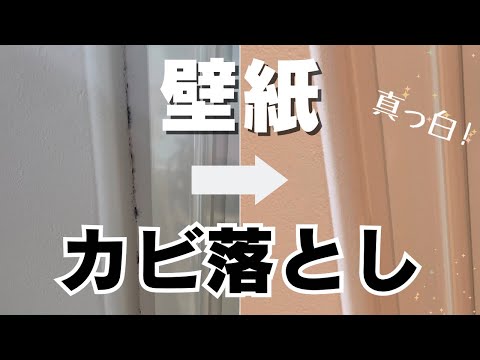 壁紙のカビを簡単に落とす方法！嫌な黒カビを真っ白に