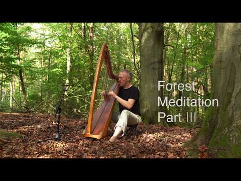 Forest Harp Meditation on Celtic Harp by Ralf Kleemann, Part 3