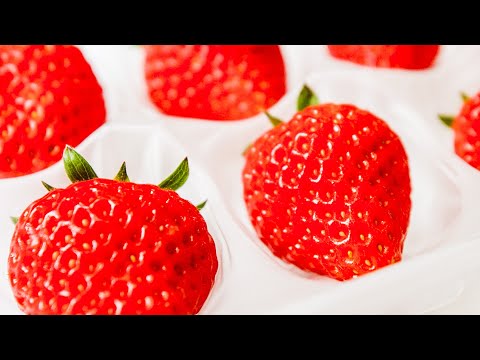 How Oishii Grows Some Of The Most Expensive Strawberries In The World | Delish