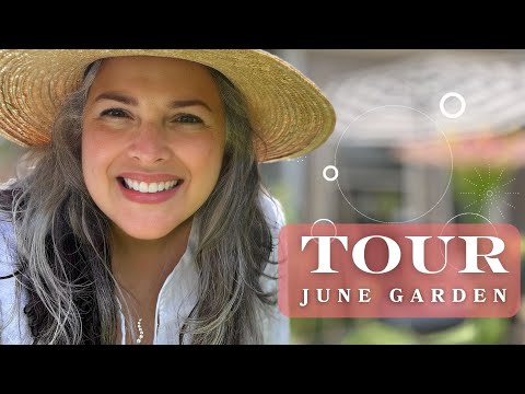 June Houston TX Garden Tour ZONE 9b - the virtues from the garden