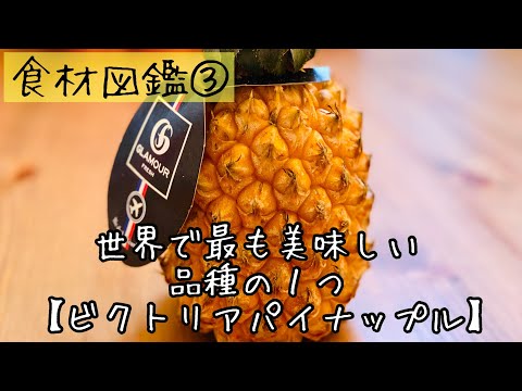 【食材図鑑】３.世界一美味しい品種の１つ『ビクトリア パイナップル』　#Shorts pineapple/ananas