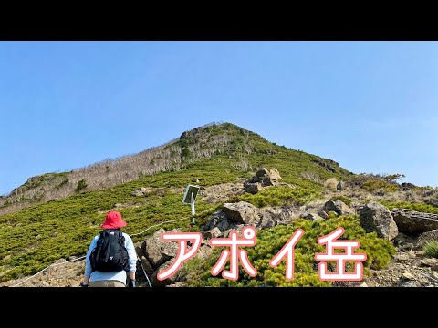 アポイ岳 高山植物が咲くアポイ岳を登る【北海道登山ガイド】夏山 　日高