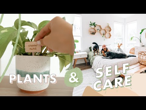 5 Life Lessons I Learned from My Plants | Om & The City