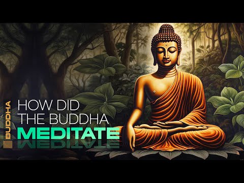 How did The Buddha Meditate?