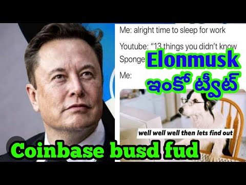 Coinbase will suspend trading for binance busd stable coin / elon musk new tweet on new dog /bitgert