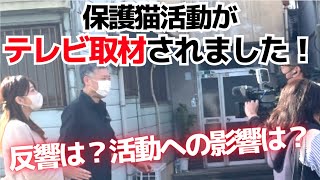 【ねこへるテレビ出演！】伝えきれなかった本当に伝えたかったことをまとめてお話ししました！