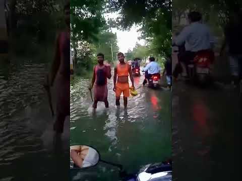 Bihar me Bhaad ( Flood )👍#trending #viral #mumbai #food #subscribe #youtube #shorts #bihar #ytshorts