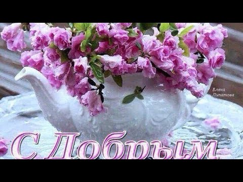 Доброе утро🌺🌺🌺удачи вам🌸🌸🌸