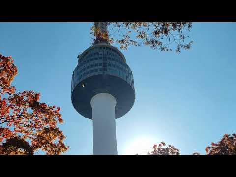 Autumn colors at Seoul Namsan, Nov. 2024 # 서울 남산의 11월 단풍