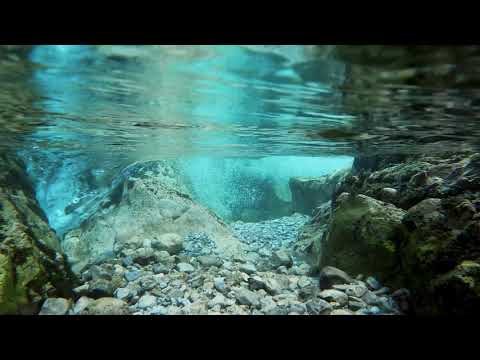 Underwater Footage | Copyright Free Video Footage