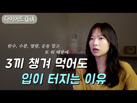 후식, 간식, 당류 관련 질문들 | 독하게 반년 식단 후 일반식 먹기가 어려워요(나의 식단 스승님👩🏻‍🏫 오눅님 신세경님) | 저탄고지 식단 실패 이유 | 샐러드는 부로 먹자