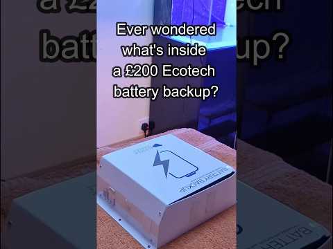 What's inside the Ecotech battery backup?