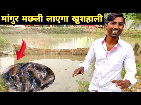 नौकरी छोड़ शुरू किया Fish farming business | magur machli palan | fish farming in pond