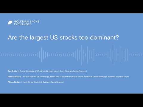 Are the largest US stocks too dominant?