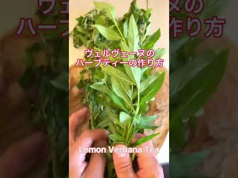 How to herbal tea with Lemon verbena