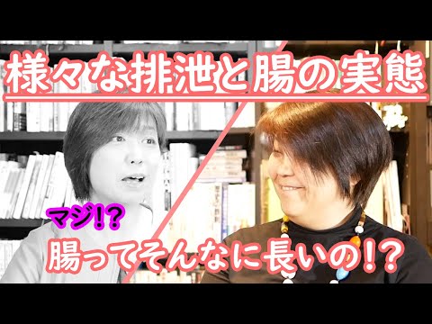 排泄は便やおしっこだけではない⁉腸の実態や排泄のチェックポイントとは⁉