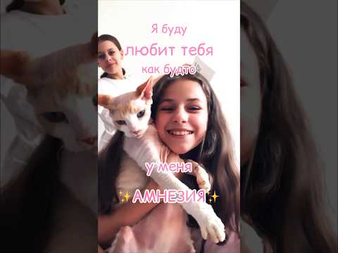 Я БУДУ ЛЮБИТЬ ТЕБЯ КАК БУДТО У МЕНЯ АМНЕЗИЯ✨❤️ #ileocat #люблю #shortvideo #subscribe #врек #лео