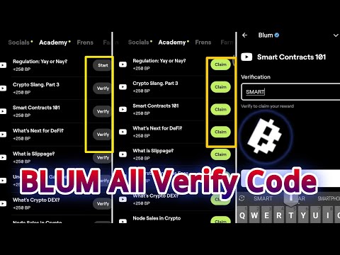 Blum All Verify Code || Blum Academy Code || Blum Verify Code Today