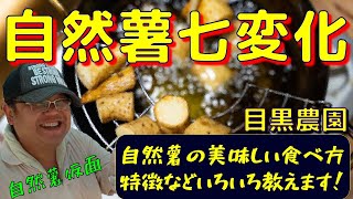 【自然薯七変化】　自然薯の美味しい食べ方、特徴などを教えます！