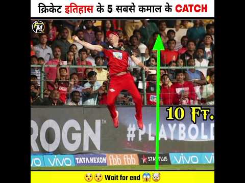 Top 5 Amazing Catches in Cricket Ever || #cricket #catch #shorts