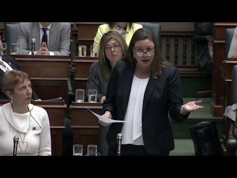 MPPs Fife and Gretzky challenge Ford government on privatization of employment services