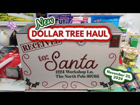 Fun NEW DOLLAR TREE HAUL!  Great Finds!! November 25, 2024