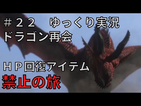 【ドラゴンズドグマダークアリズン】HP回復アイテム縛りの旅＃２２【ゆっくり実況】