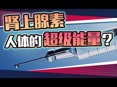 打一针力气就能翻十倍？起底“人体超级能量”肾上腺素