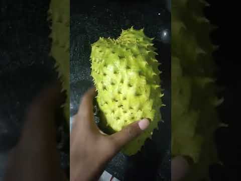 costly jack fruit good for cancer