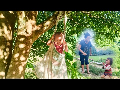 The single mother hung her child on a tree and then went to fetch fruit for the child to eat