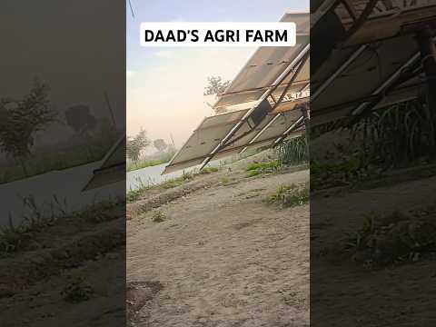 DAAD'S AGRI FARM