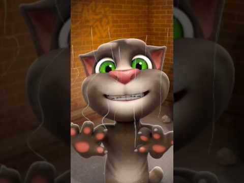 Talking Tom #shorts