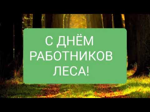 Самое красивое поздравление С ДНЁМ РАБОТНИКОВ ЛЕСА! 20 сентября-ДЕНЬ РАБОТНИКОВ ЛЕСА💕☕🍰❤💋💗🧁