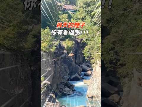 [鳥人帶你飛] 飛天糰子你看過嗎?! 日本岩手縣必訪景點 #日本 #日本景點 #japan #日本旅遊 #岩手縣 #旅行 #景點開箱 #打卡景點