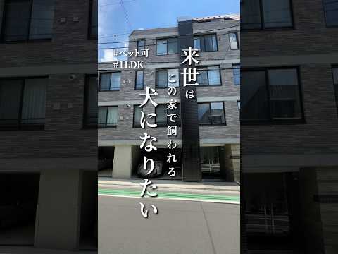 来世はこのお家で飼われる犬になりたい？🫶世田谷区池尻にあるルーフバルコニー付きの1LDK👩‍💻#不動産 #お部屋探し #賃貸 #ルームツアー