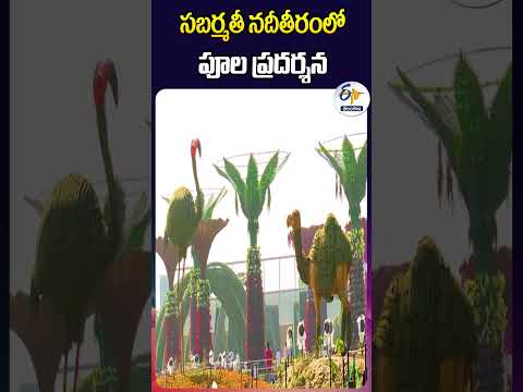 సబర్మతీ నదీతీరంలో పూల ప్రదర్శన