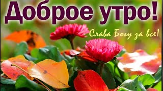 Доброе утро, хорошего вам дня