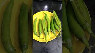 #shorts /#shortvideo /#food /#recipes/#bajjilu/#mirchibajjirecipe /#mirchibajjiintelugu