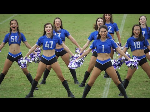 チア2022 IBMビッグブルー BigBlue Cheerleaders BBC