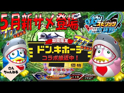 ５月のサメ登場！！サメド情ちゃんを釣り上げろ！！釣りスピリッツ 釣って遊べる水族館実況プレイ 【さんちゃん】