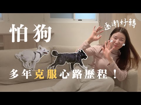 不再絕望！我是怎麼逐步克服怕狗🐕？｜荒謬心路歷程（＆還要繼續加油😂）