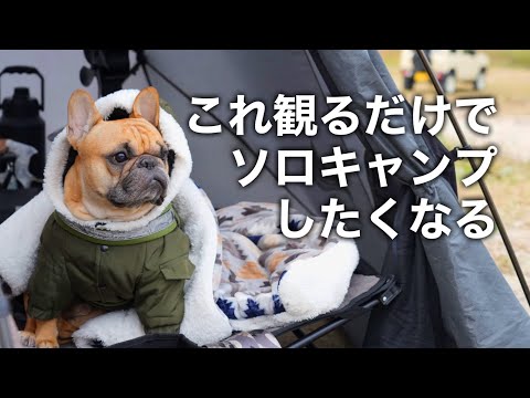 【ソロキャンプしたい人必見】冬の犬連れソロキャンプ