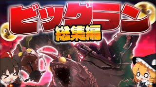 【ゆっくり実況】ビッグビッグラン完全攻略！ビッグラン全ステージ総集編【サーモンランNEXTWAVE/スプラトゥーン3】