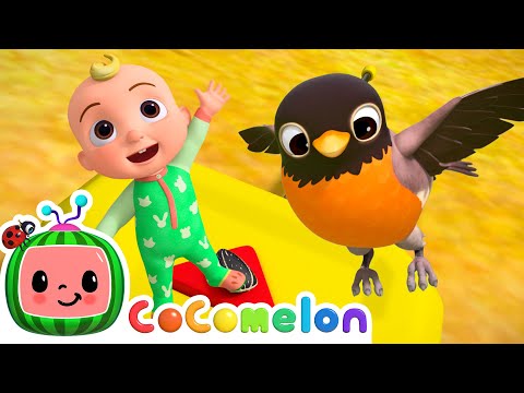 Tiny JJ and Big Bird 🦅 + MORE CoComelon JJ's Animal Time | Kids Songs | Animal Songs for Babies