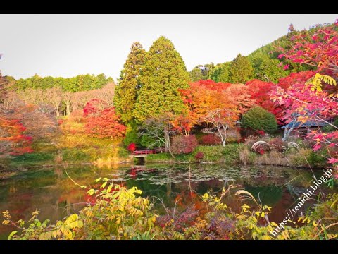 鳥見山公園の紅葉スライドショー 2024.12.05