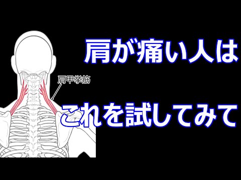 筋トレや日常生活で肩が痛い人はこれを一回試してみて