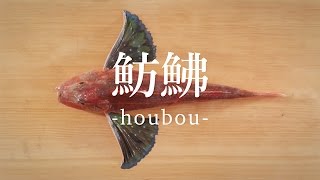 魴鮄（ほうぼう）のさばき方 - How to filet Bluefin Searobin -｜日本さばけるプロジェクト（海と日本プロジェクト）