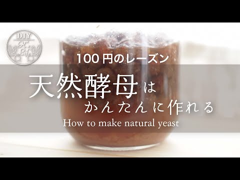 【レーズン酵母】天然酵母の作り方 How to make natural yeast - English subtitle