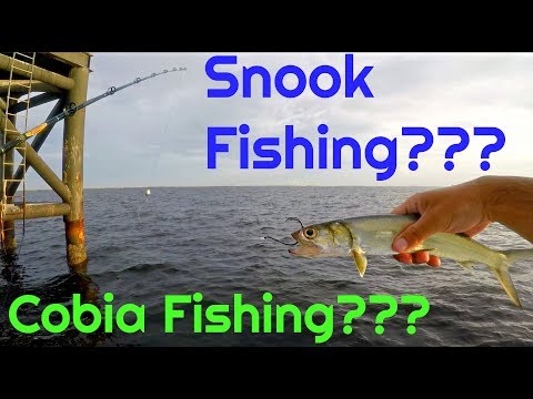 We THOUGHT We Were Going Snook Fishing