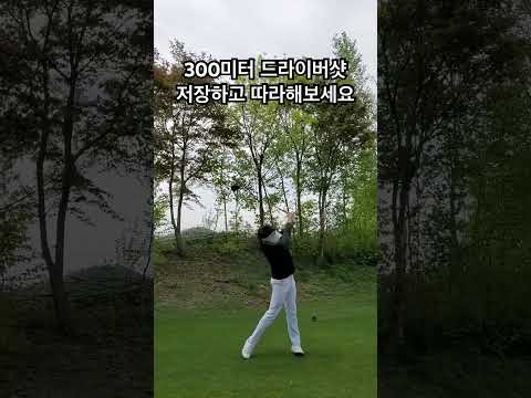 보는것도 연습입니다 리듬 따라해보세요 #골프레슨 #golf #골프 #골프스윙